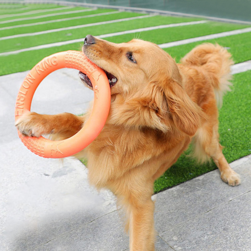 Indestructible Dog Chew Toy - Anneau d'entraînement pour chiens, disque volant