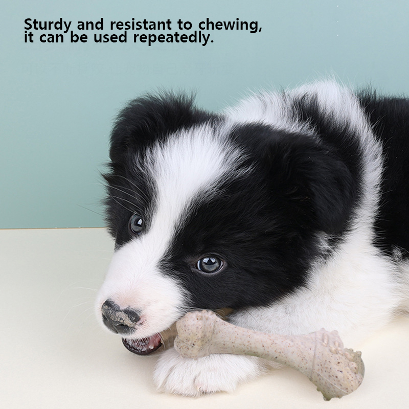 Teeth Cleaning Dog Chew Bone - Jouets pour animaux de compagnie de