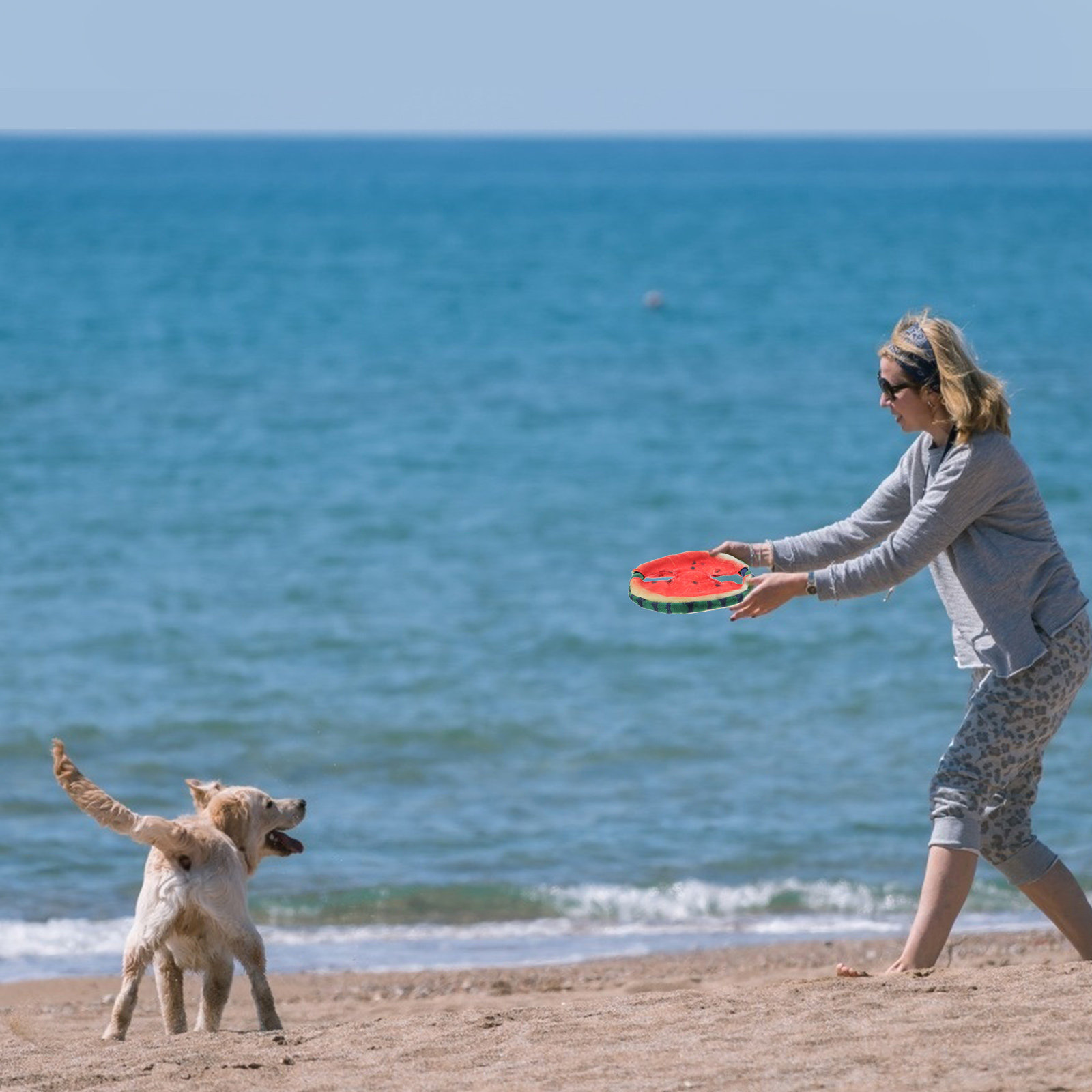 Flying Disc Dog Training Toy - Disque volant pour chien, motif pastèque