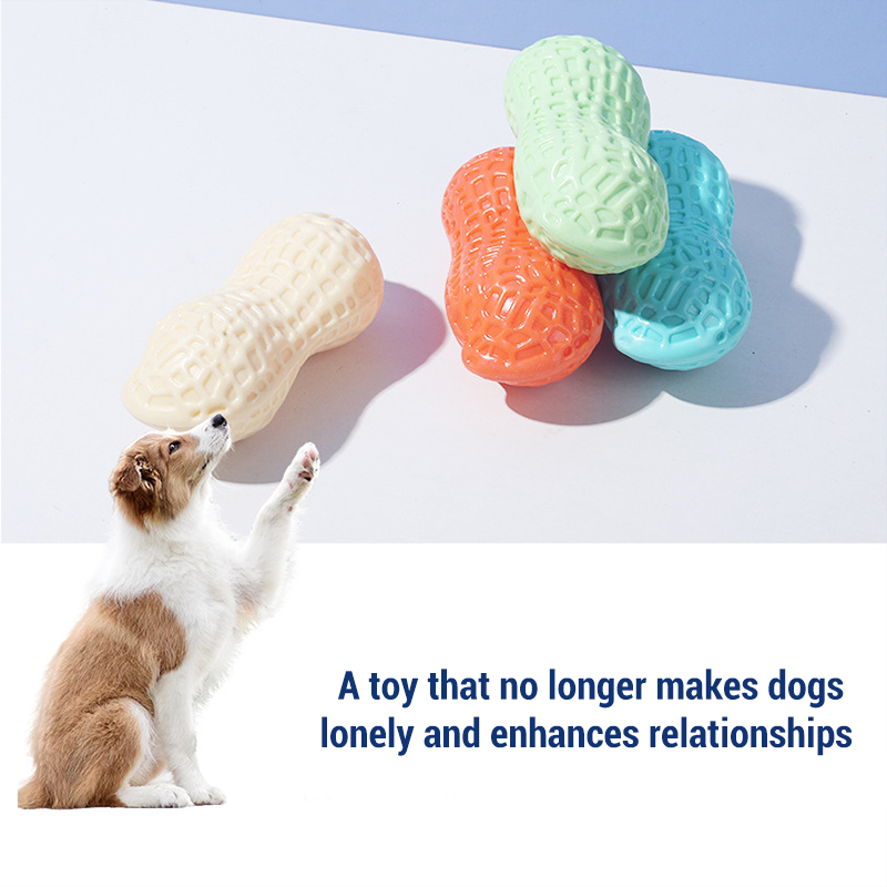 Teeth Cleaning Dog Chew Bone - Jouets à mâcher pour chien en