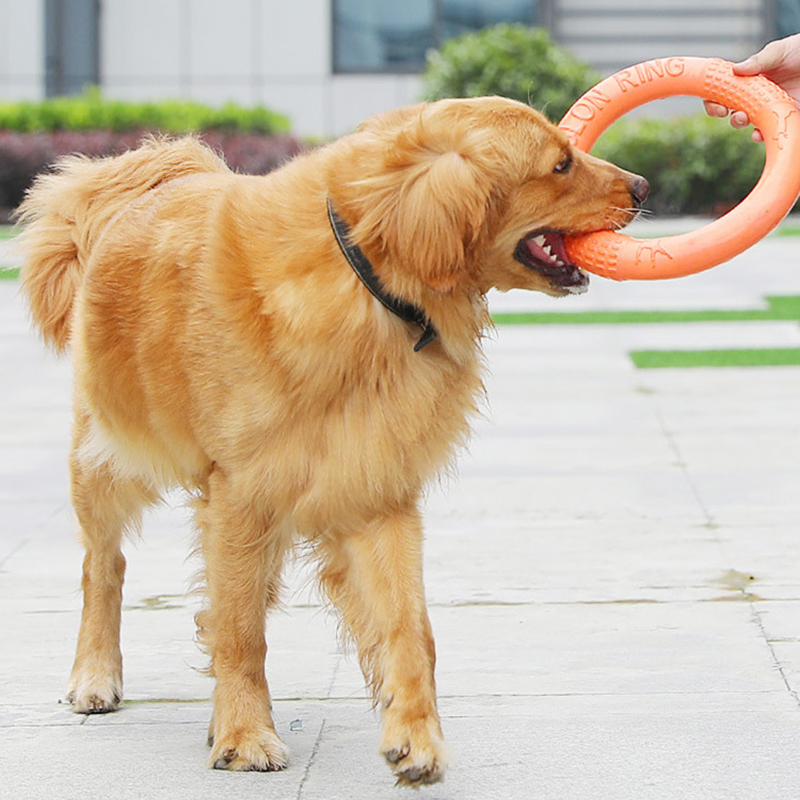 Anneau d'entraînement pour chi - Indestructible Dog Chew Toy avis et prix