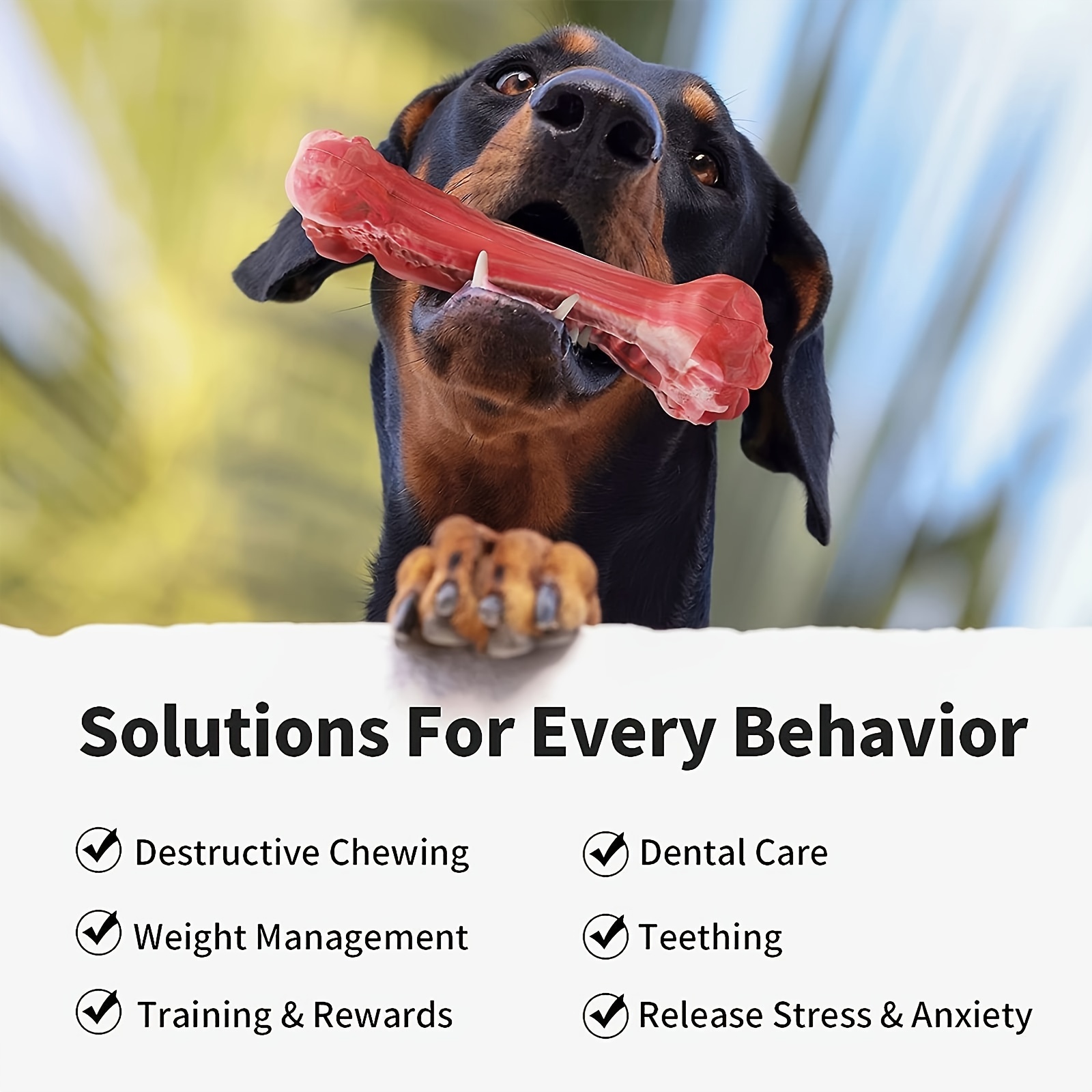 Jouet à mâcher pour chien en s - Indestructible Dog Chew Toy avis et prix