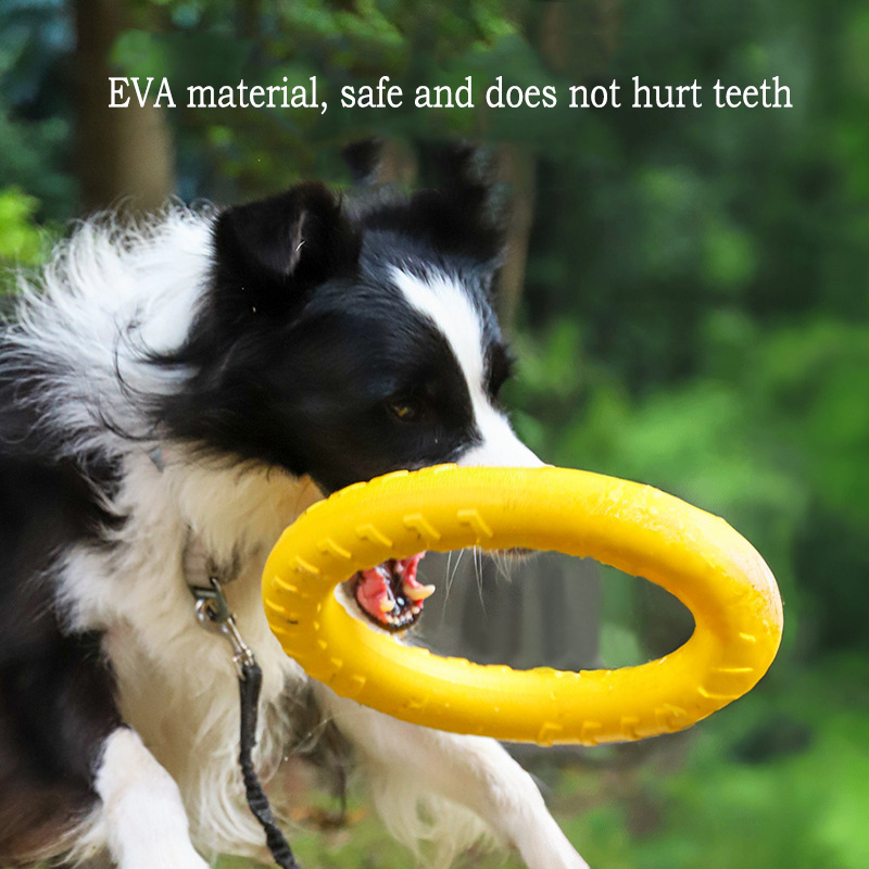Jouets durables EVA pour chien - Indestructible Dog Chew Toy avis et prix