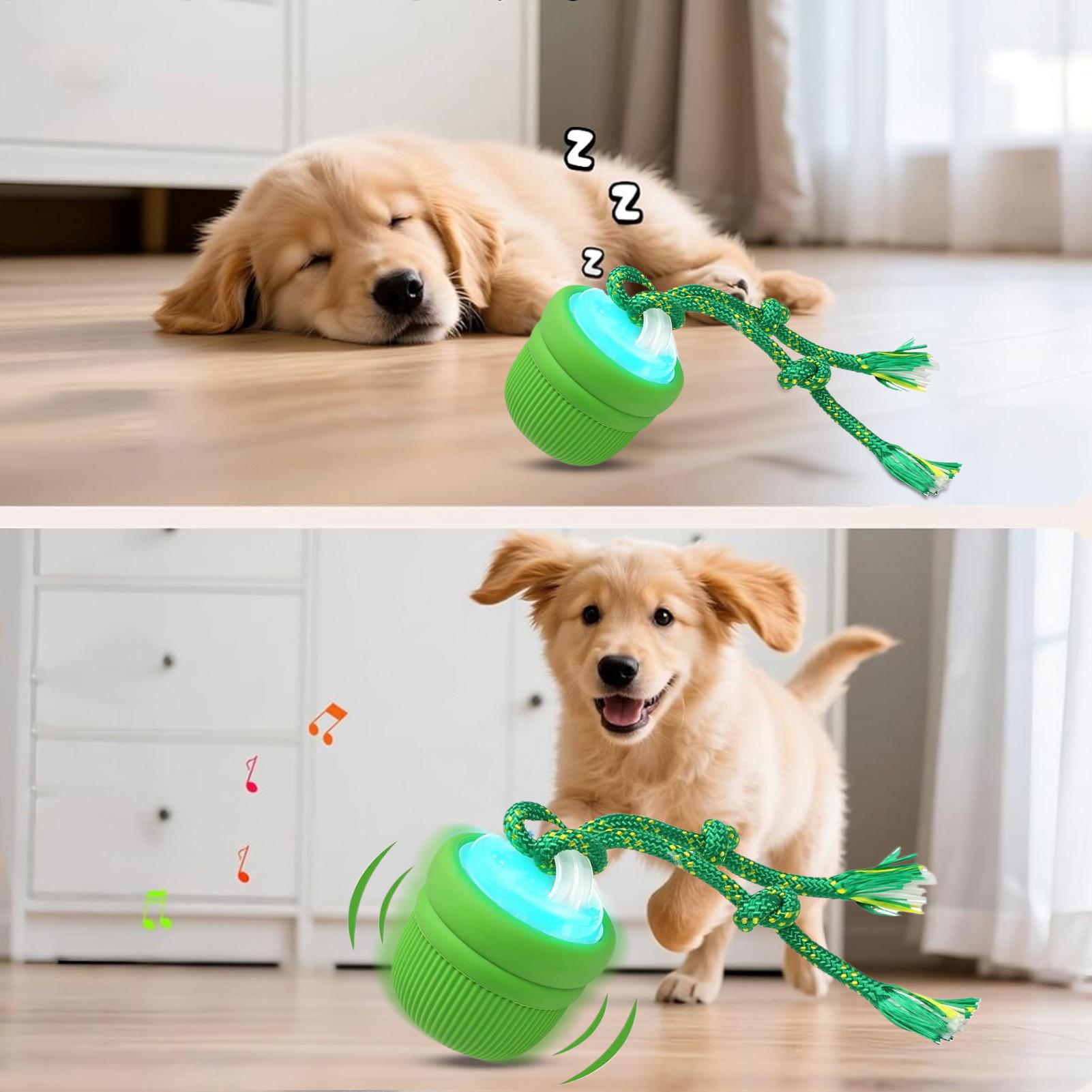 Boule interactive pour chien,  - Automatic Moving Dog Ball avis et prix