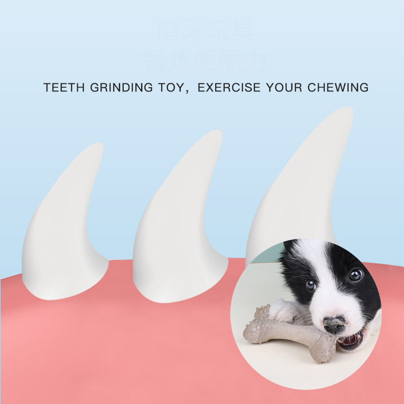 Jouets pour animaux de compagn - Teeth Cleaning Dog Chew Bone avis et prix