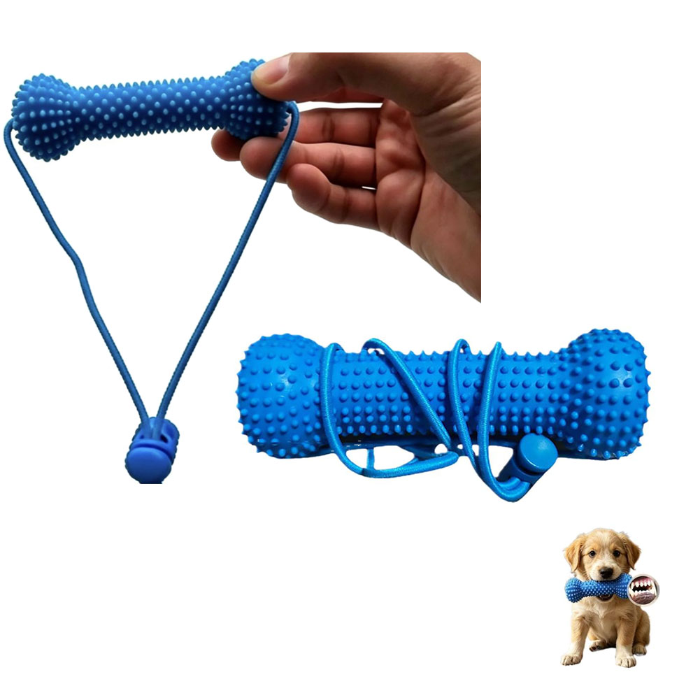 Jouet à mâcher pour le nettoya - Teeth Cleaning Dog Chew Bone avis et prix