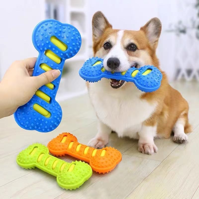 Bâton à mâcher en caoutchouc p - Teeth Cleaning Dog Chew Bone avis et prix