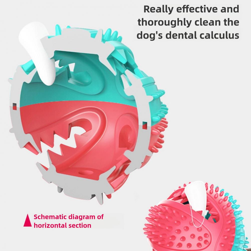 Jouets à mâcher pour chiens, p - Rubber Treat Dispensing Dog Toy avis et prix