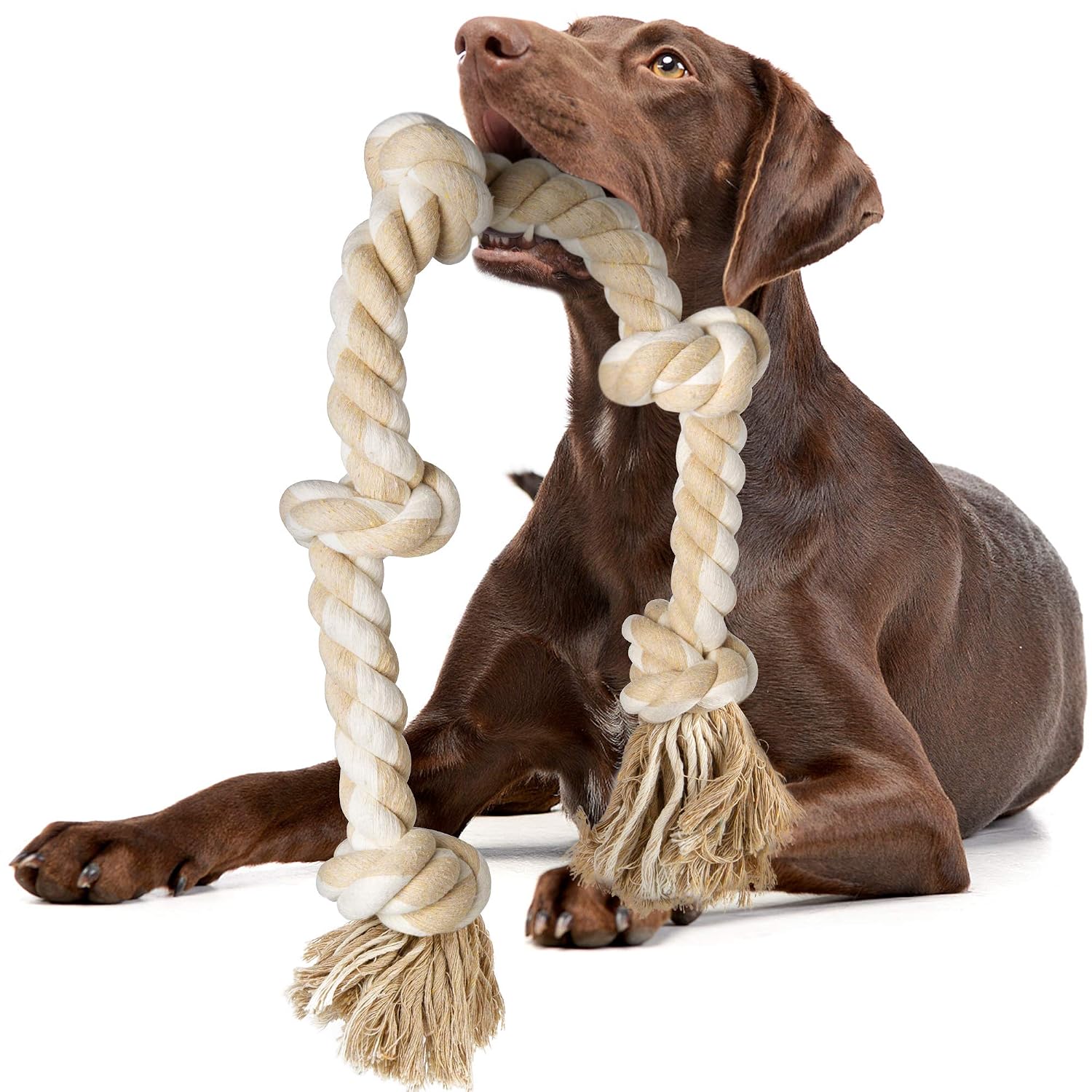 Jouets à mâcher en corde résis - Dog Rope Toy Aggressive Chewers avis et prix