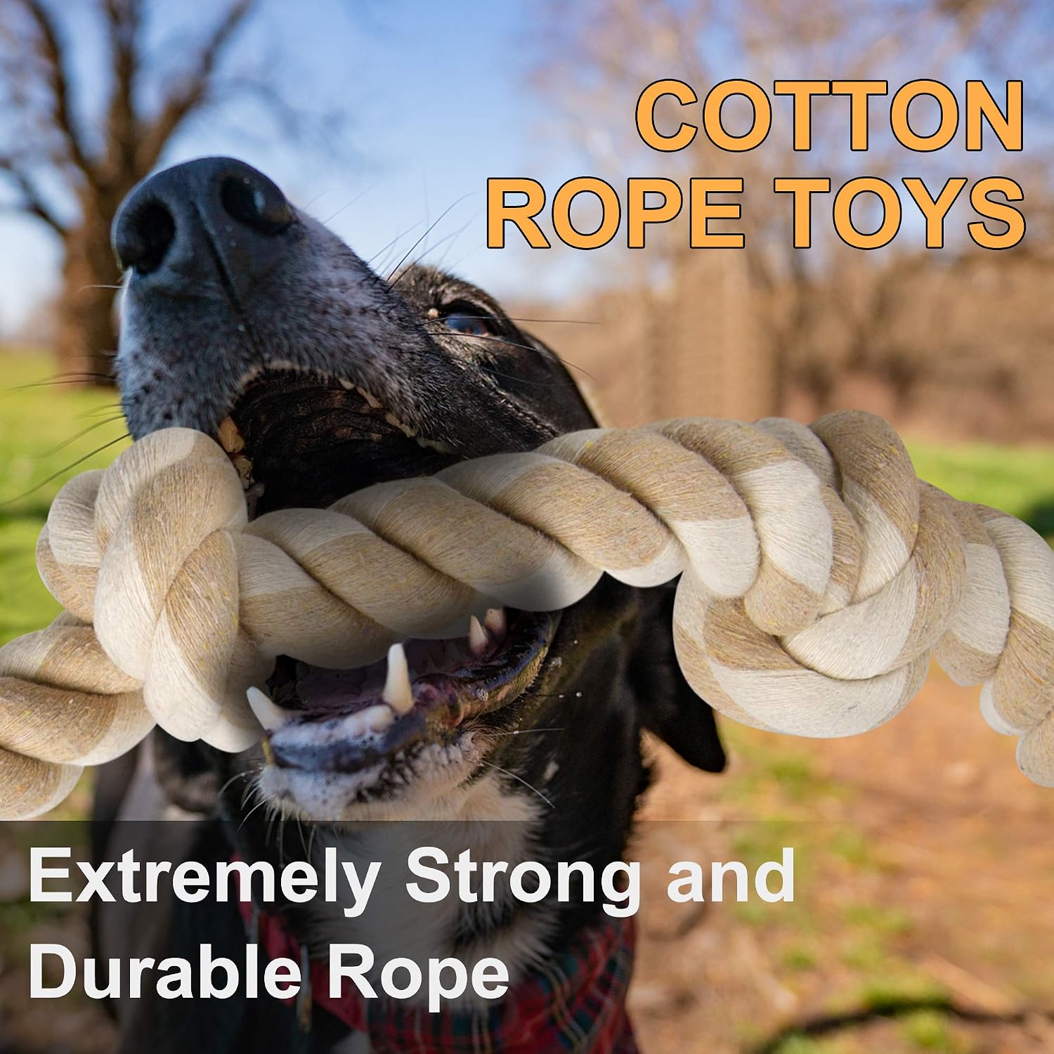 Jouets à mâcher en corde résis - Dog Rope Toy Aggressive Chewers avis et prix