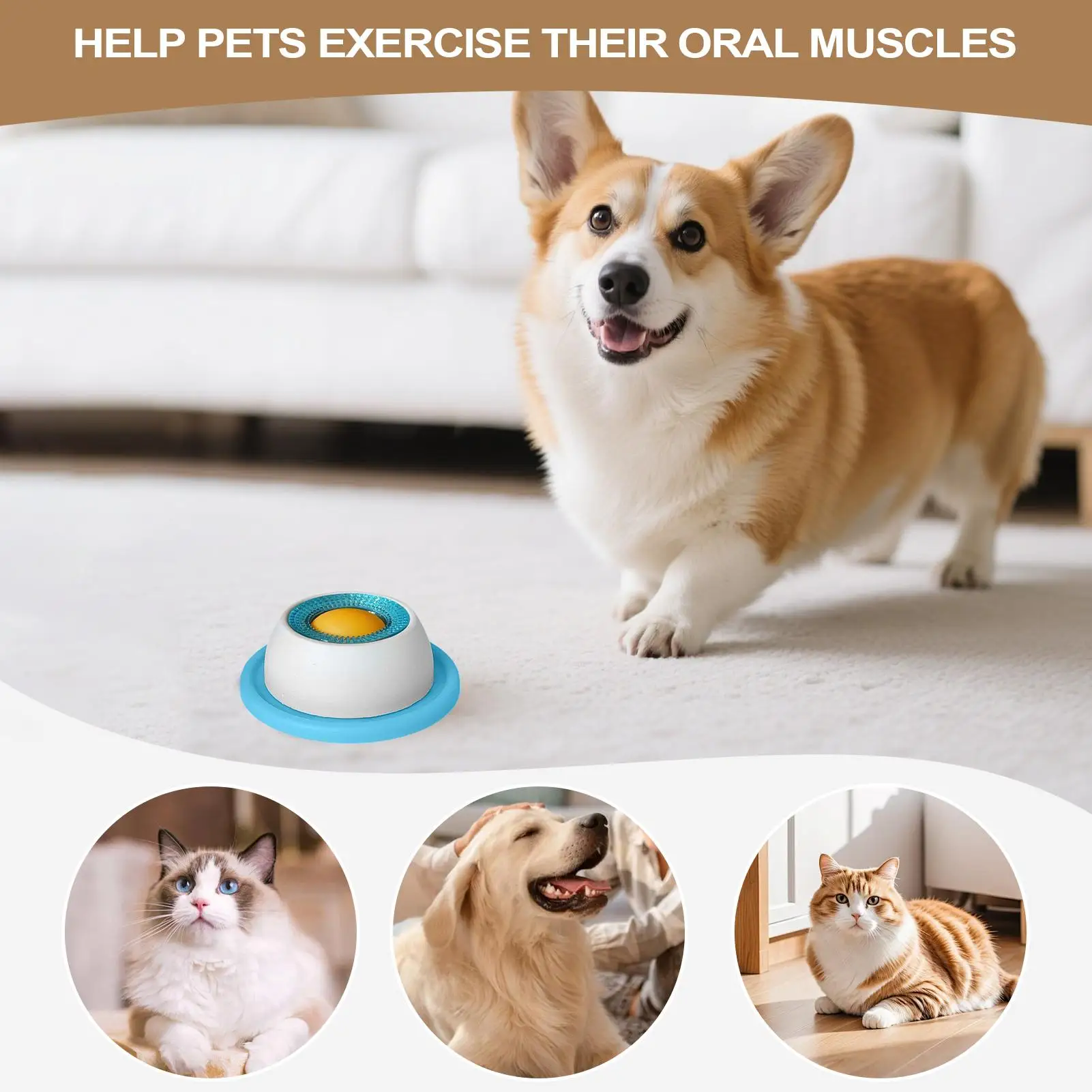 Accessoires pour l'alimentatio - Dog Puzzle Feeder Toy avis et prix