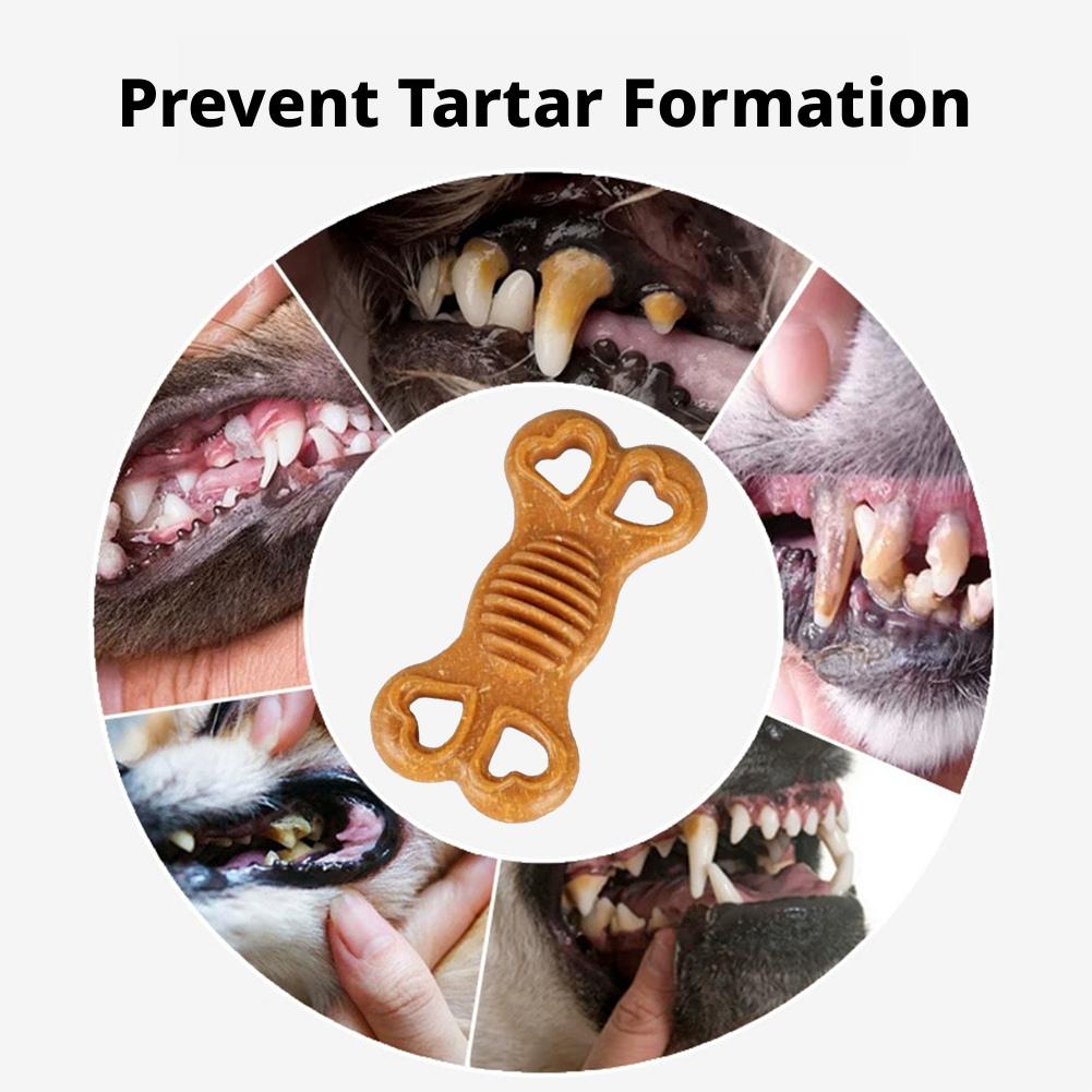 Jouet à mâcher pour chien inde - Teeth Cleaning Dog Chew Bone avis et prix