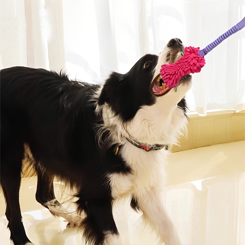 Jouets durables pour chiens po - Indestructible Dog Chew Toy avis et prix